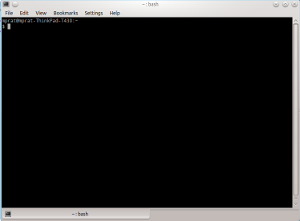 A screenshot of a Linux command-line terminal